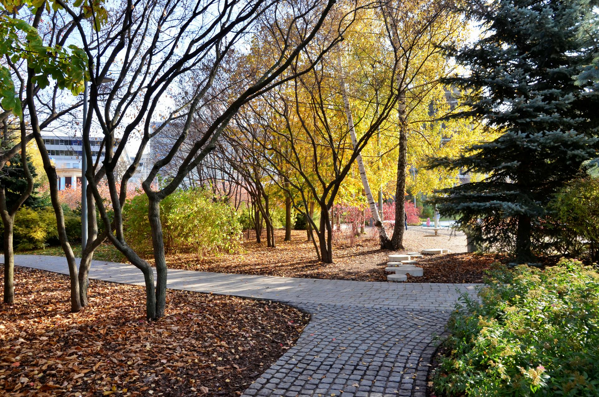 В Гидрометцентре сообщили о погоде 1 ноября в европейской части России