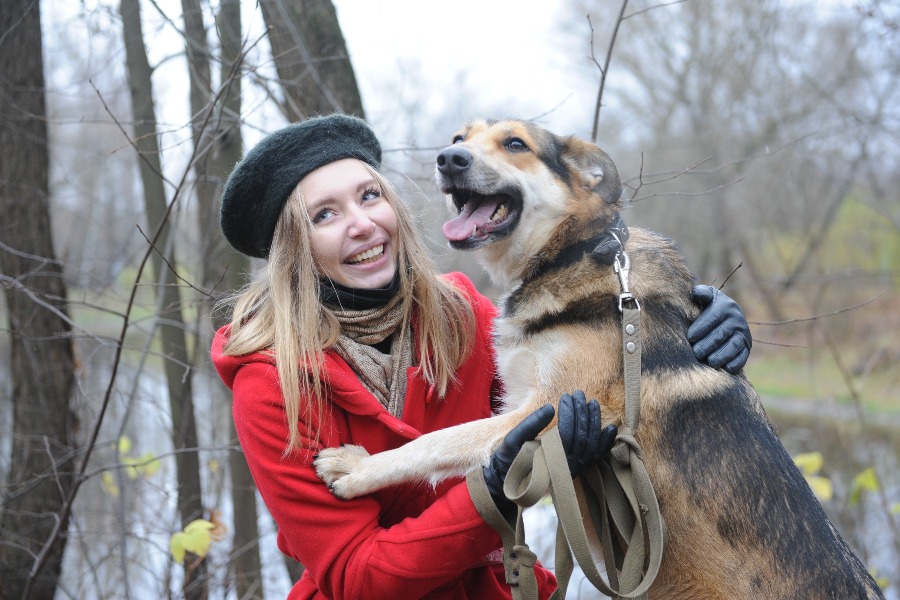 Выставку с фотографиями животных из приютов открыли на Цветном бульваре