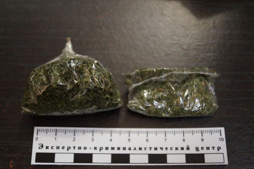 Полицейские ликвидировали нарколаборатории в Кемерове и Тольятти