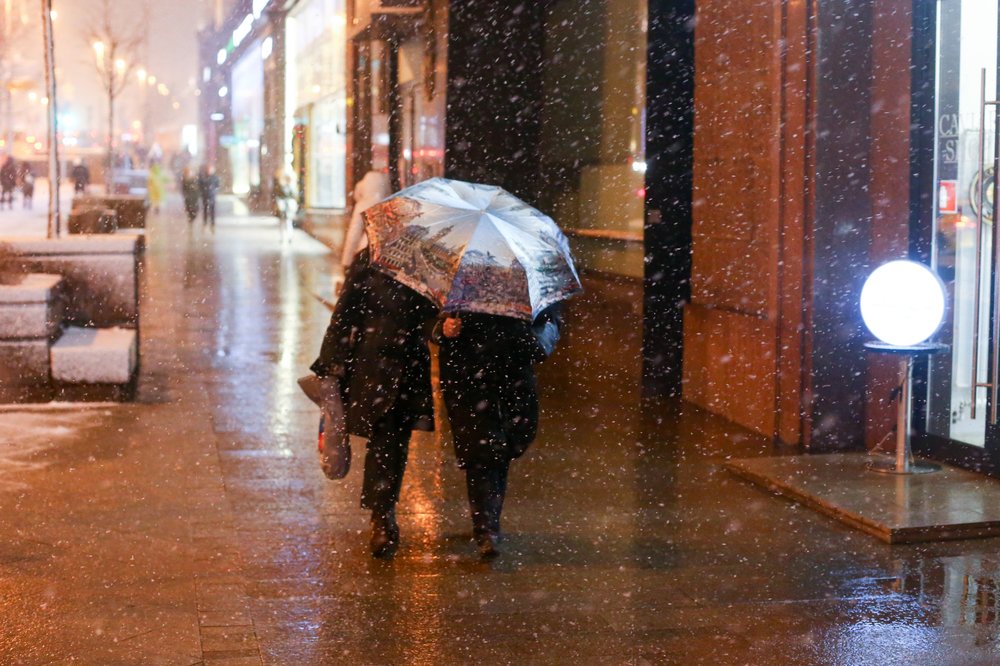 Мокрый снег и высокое атмосферное давление ожидают москвичей 2 января