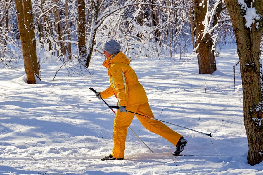 Текущий год в Москве станет рекордно теплым