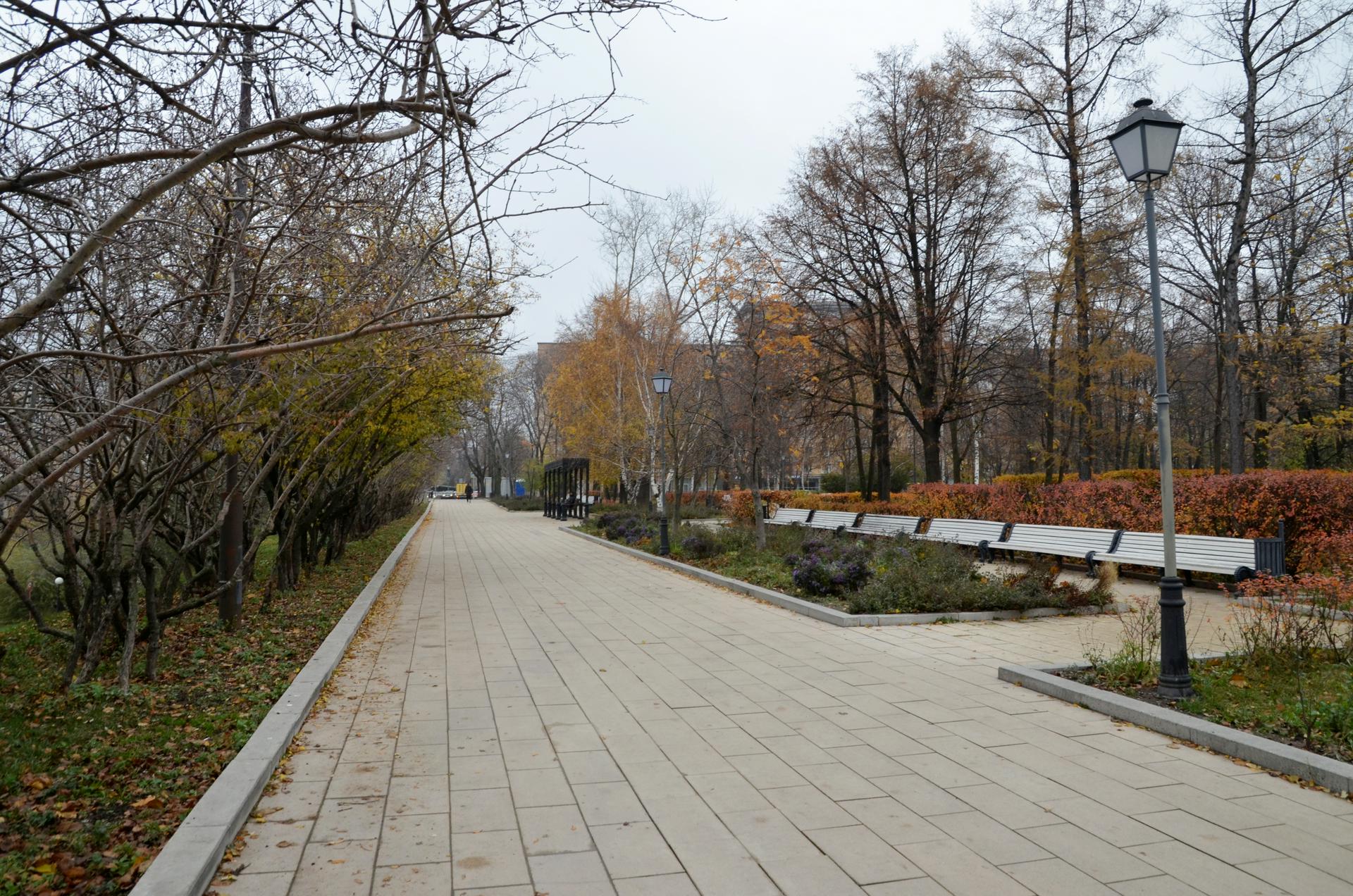 Синоптики рассказали о погоде в Москве на предстоящих выходных