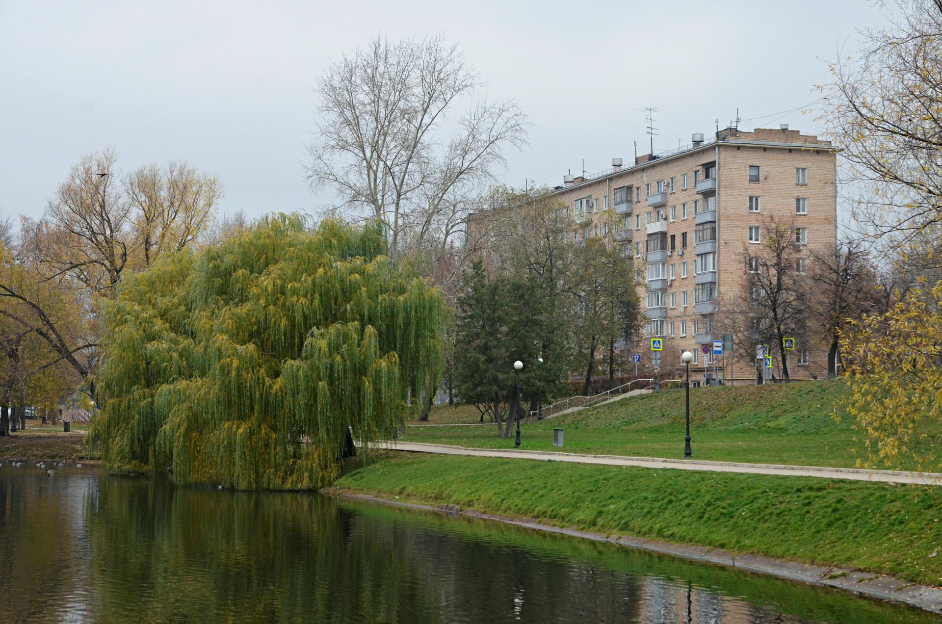 хамовники в москве