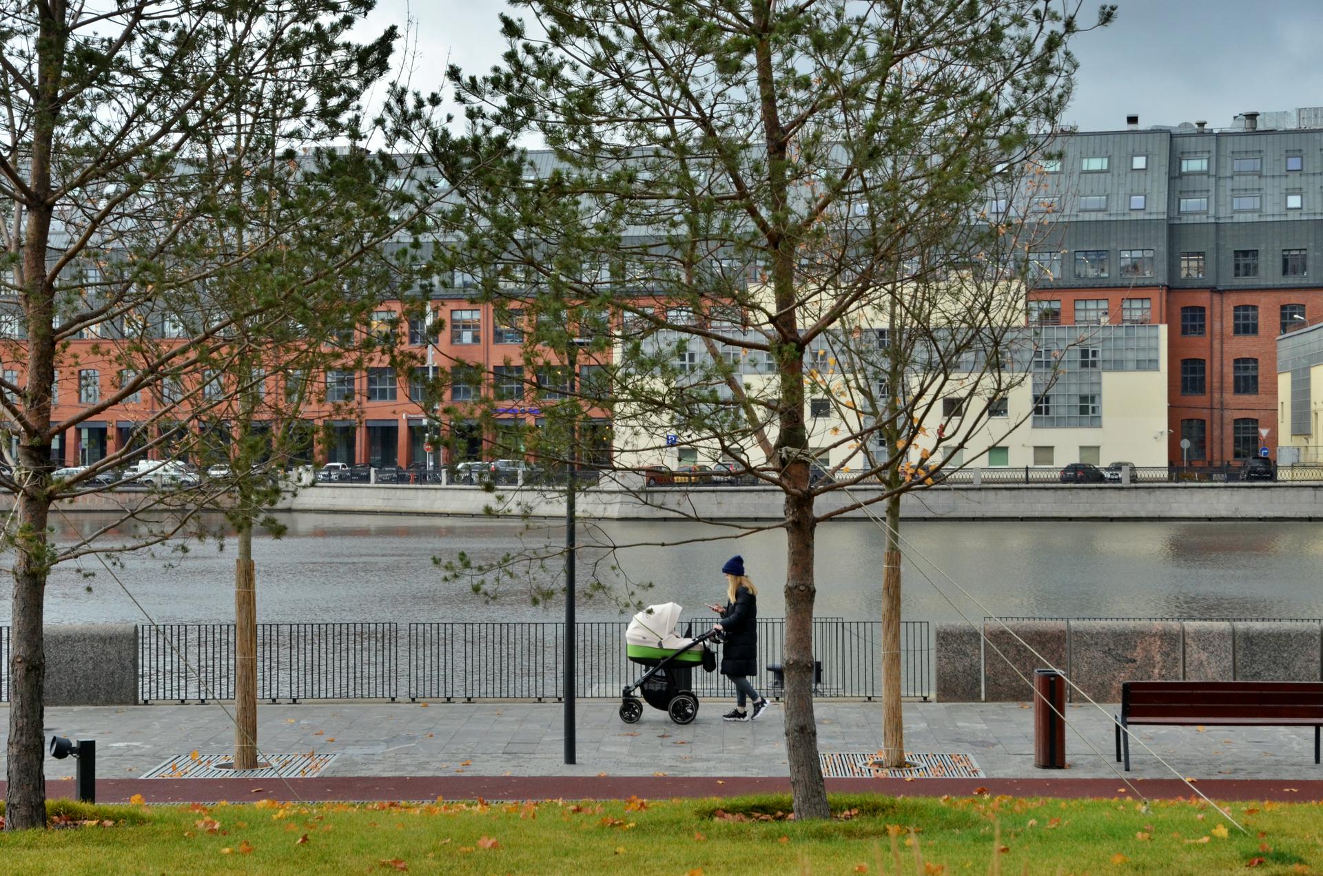 Москвичей предупредили о порывистом ветре 7 ноября