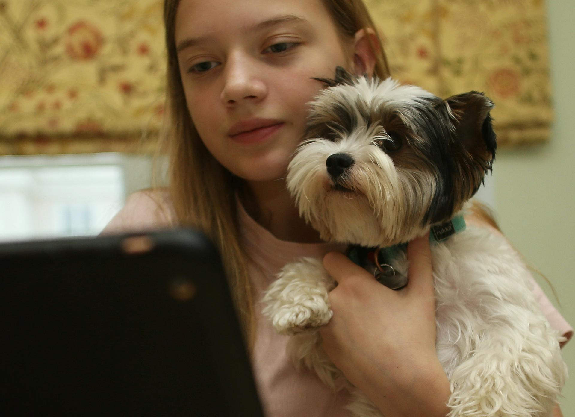 Кинолог объяснил, какие предметы в доме представляют опасность для собак