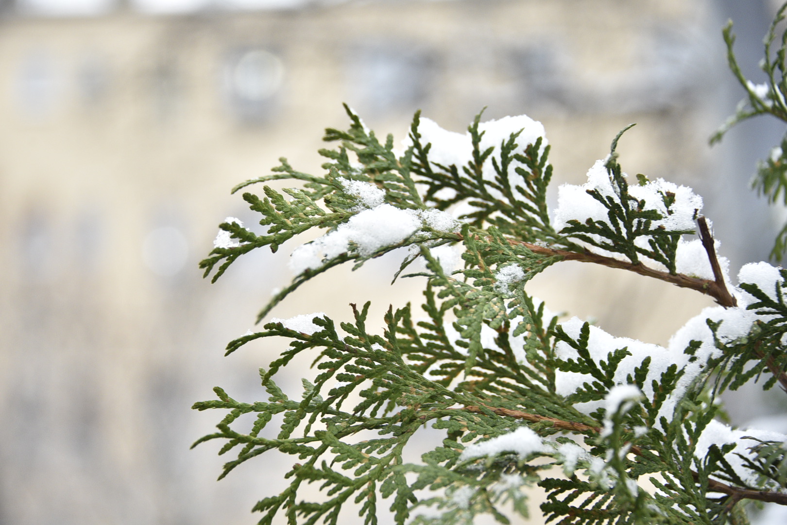 Бесплатные онлайн-лекции пройдут в московских парках