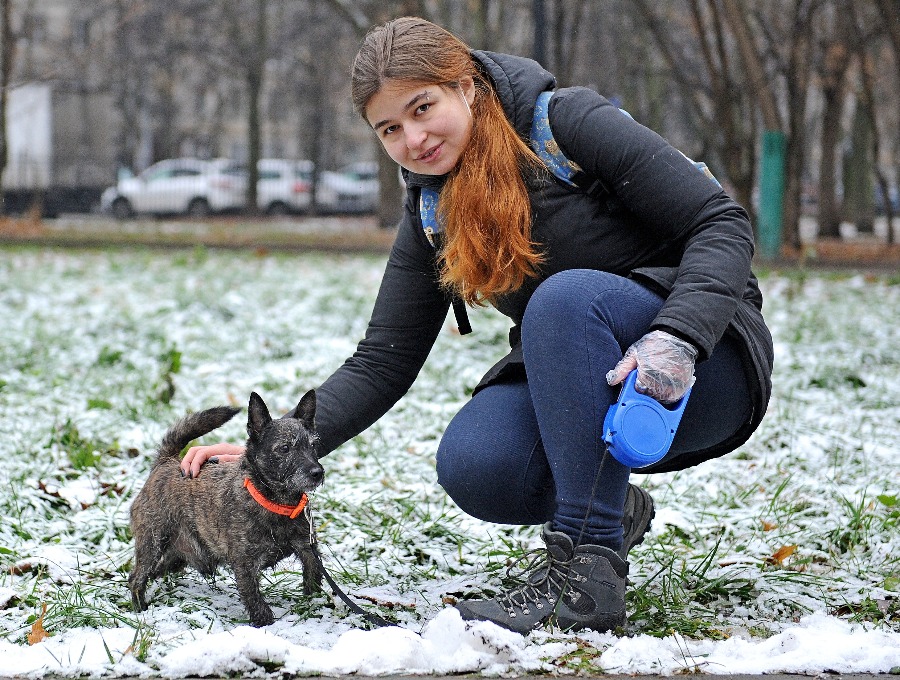Вышел Бобик погулять. Как волонтеры помогают владельцам домашних питомцев