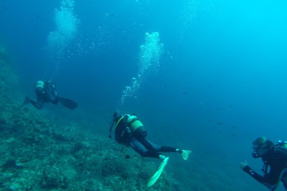 Ученый прокомментировал обнаружение новых видов животных на дне Тихого океана