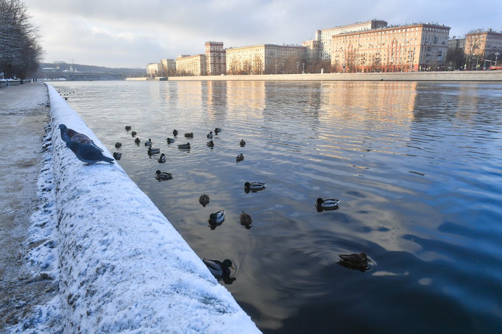 Изучается спрос на водные маршруты