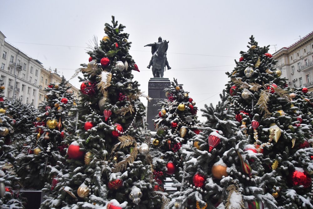 Около 1,5 тысячи хвойных деревьев и кустарников высадят на Сосинской улице в Москве