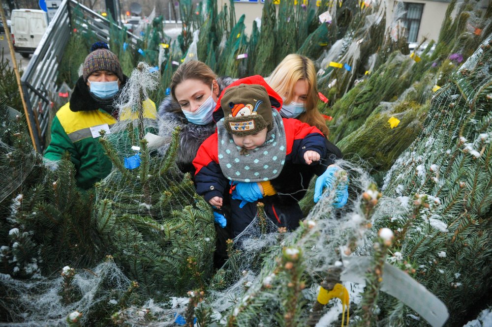 Петр Бирюков: 25 тысяч новогодних елей сдали москвичи на утилизацию в рамках акции «Елочный круговорот»