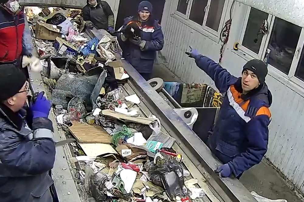 «Очень напуган»: видео спасения кота на линии сортировки мусора шокировало Сеть