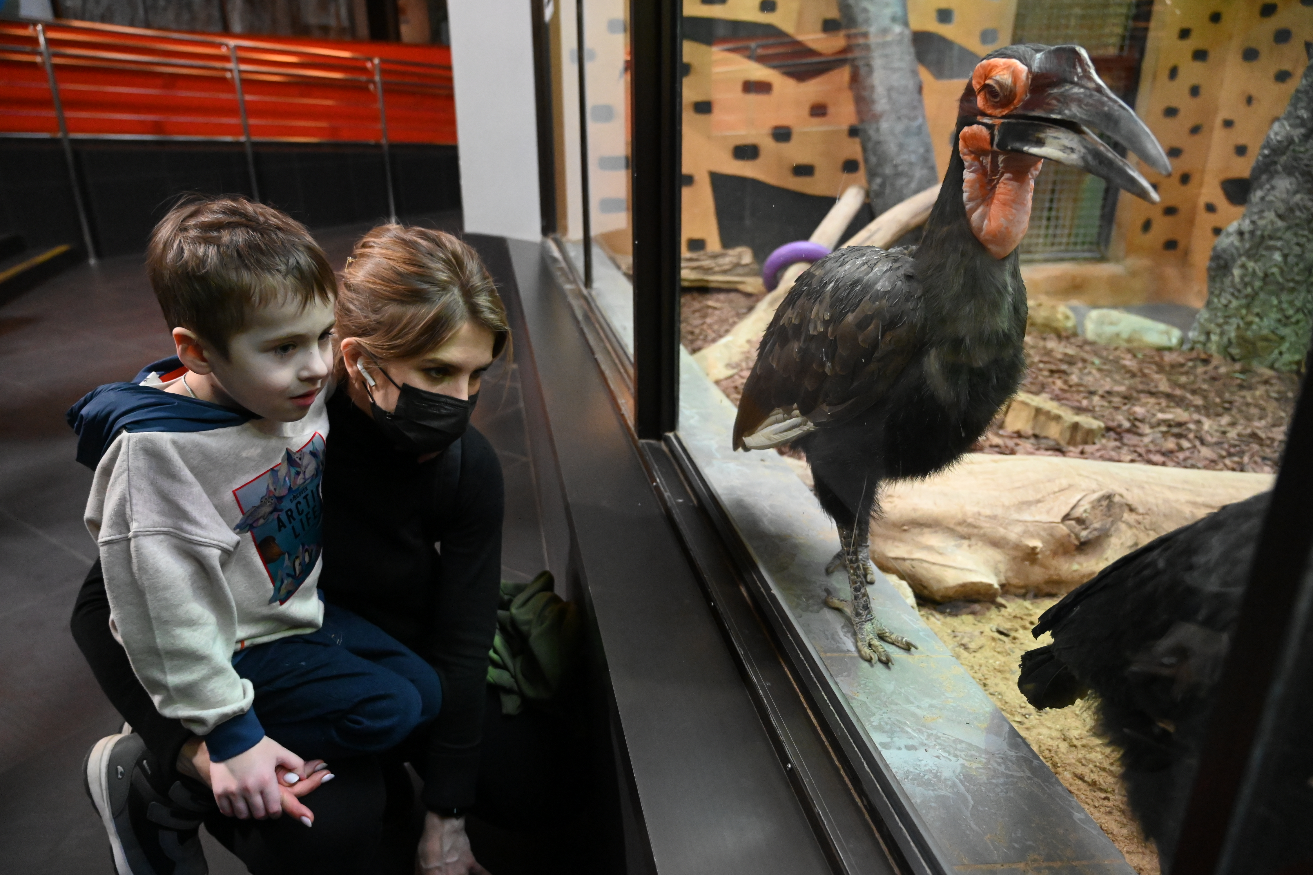 Экскурсию для мальчика Паши организовали в Московском зоопарке в рамках акции «Елка желаний»
