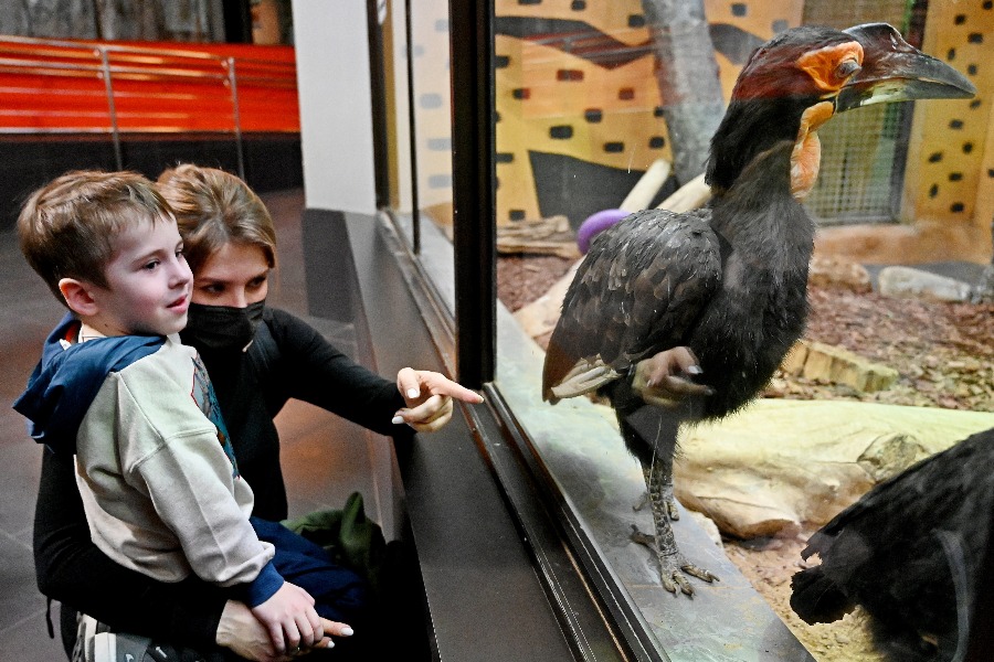 Московский зоопарк откроет павильоны с животными для посетителей