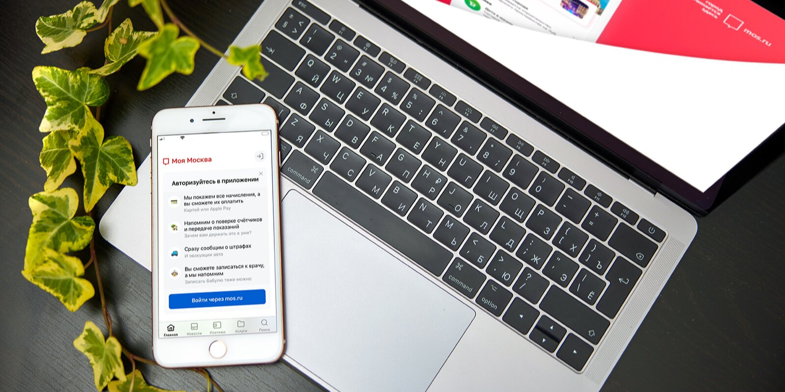 Столичные жители скачали приложение «Моя Москва» более двух миллионов раз