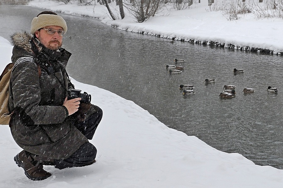 Методист «Мосприроды» Виктор Путилов проводит зимний учет уток. Птиц на всякий случай фотографируют — это позволит провести более детальный осмотр