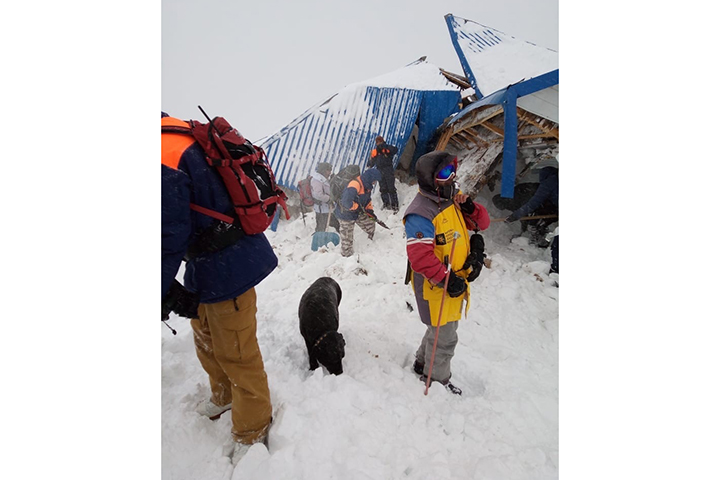 МЧС увеличит группировку спасателей на месте схода лавины на Домбае