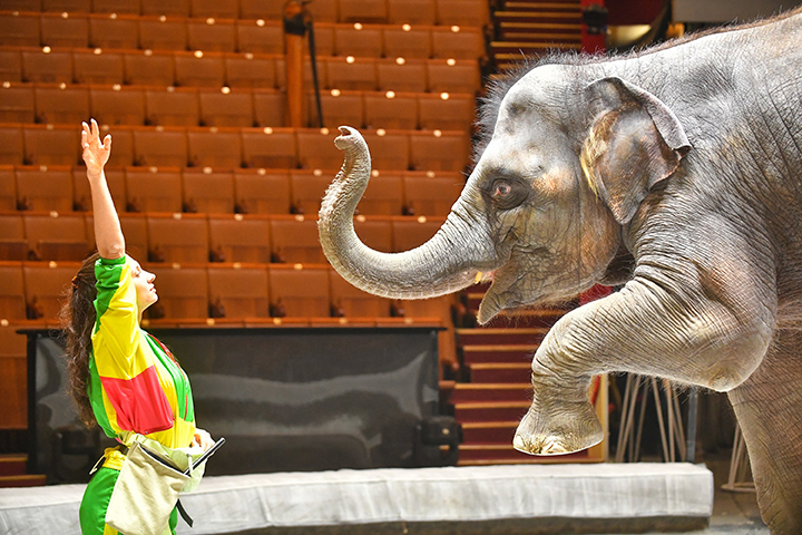 Главархив Москвы расскажет об истории столичного цирка