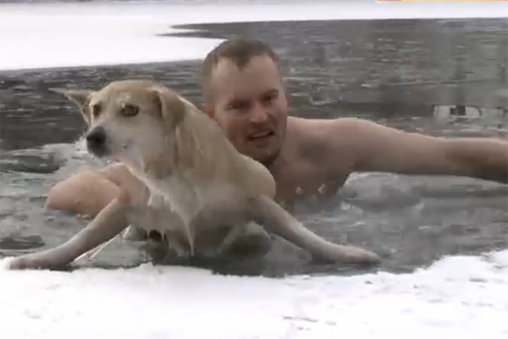 «Настоящий герой»: журналист спас тонувшую собаку и попал на видео