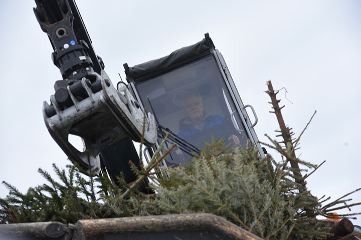 Москвичи отправили на переработку более 44,5 тысячи новогодних деревьев в 2021 году