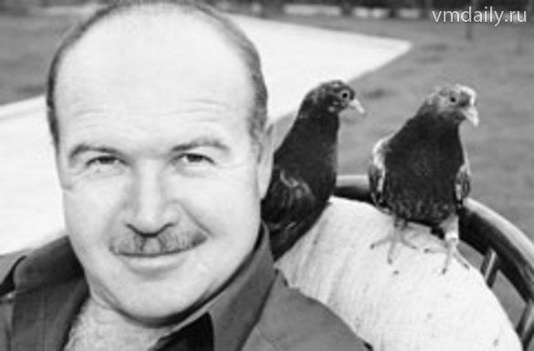 Николаевские голуби