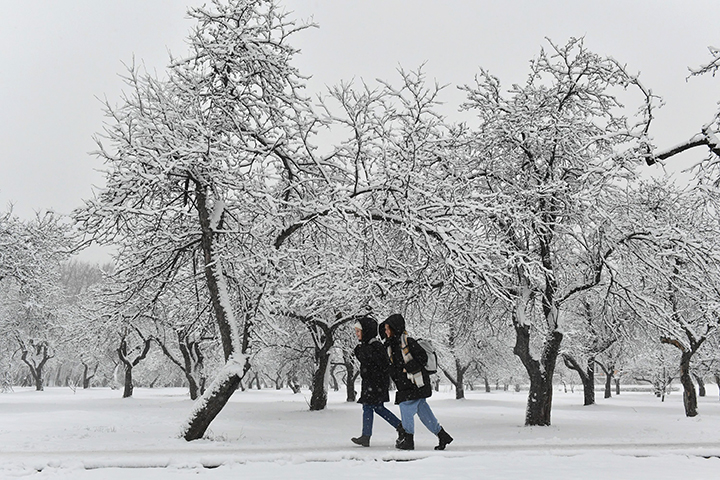 Москвичей предупредили об ухудшении видимости из-за снегопада и тумана 25 февраля