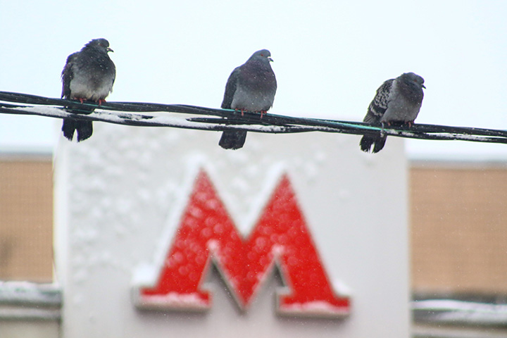 Движение ограничено на участке Таганско-Краснопресненской линии столичного метро