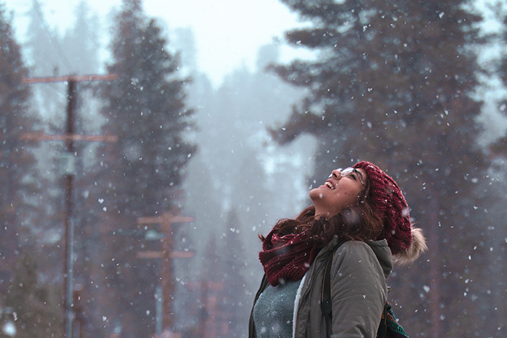 Народный календарь. Что сделать 8 февраля, чтобы исполнилось заветное желание