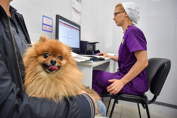 Столичной ветеринарной службе исполнилось 88 лет