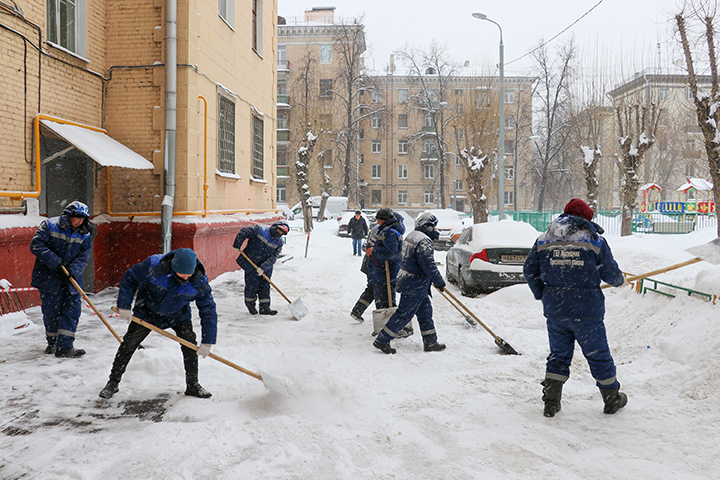 Москвичам рассказали о работе коммунальных служб после ночного снегопада