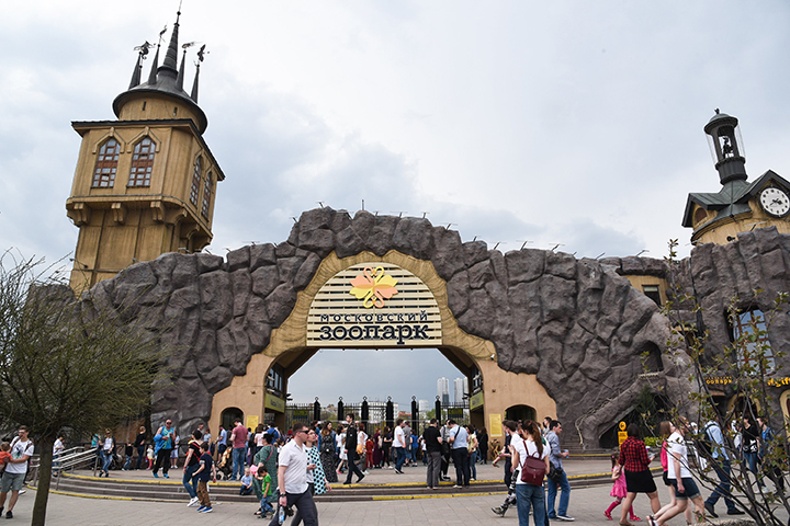 Московский зоопарк приостановил создание филиала в Новой Москве из-за COVID-19