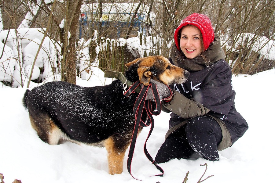 Волонтер проекта «Погуляй собаку» Марина Стаднюк играет с Зинаидой — постоялицей приюта «Ника». Москвичка часто приезжает навестить свою любимицу