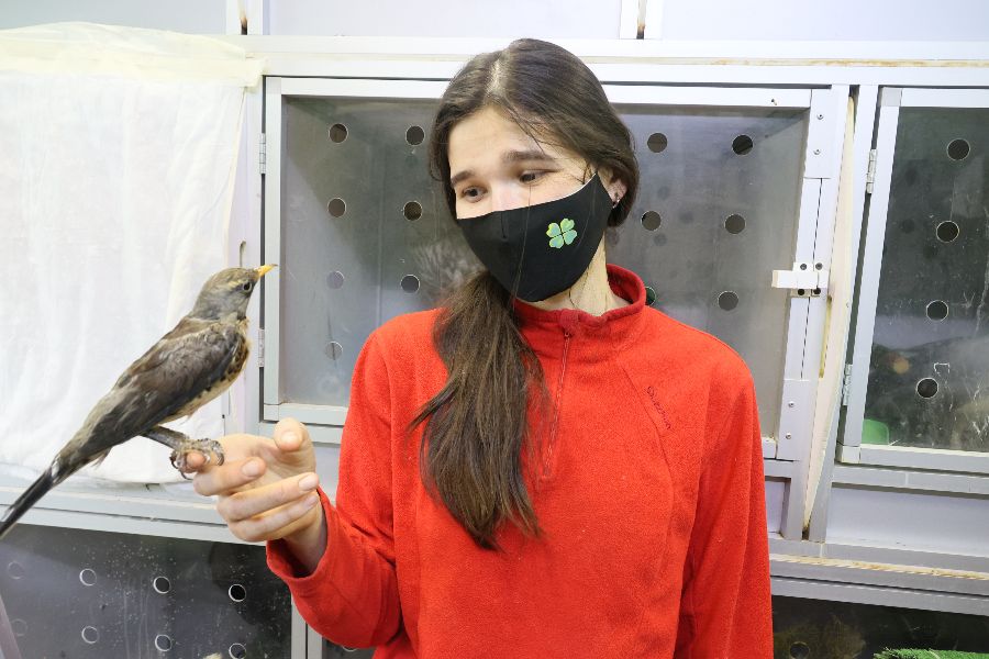 Вера Пахомова выучилась на ветеринара, чтобы знать о птицах все