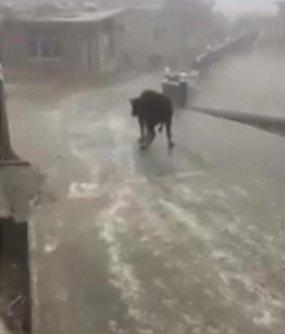 Внезапное похолодание после оттепели превратило дороги китайской деревни в заливной каток