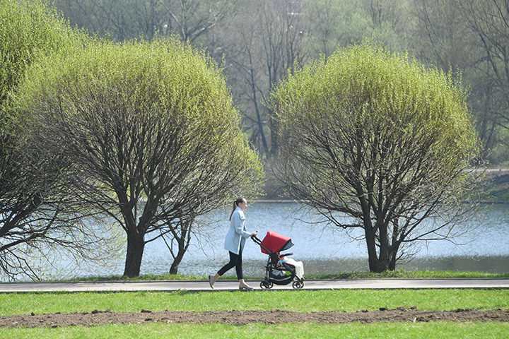 Подмосковье вошло в пятерку направлений по программе туристического кешбэка
