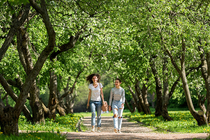 Названы пять наиболее популярных парков в Подмосковье
