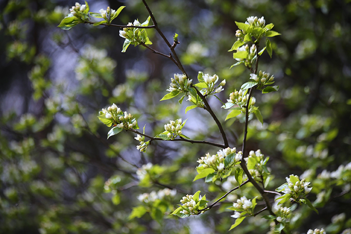 Россиян ожидает «розовый» май