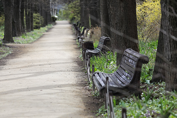 Около 86 парков появится в Новой Москве к 2035 году