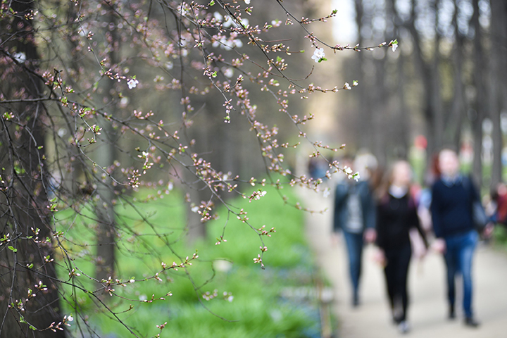 Синоптик рассказал, когда в Москве растает снег