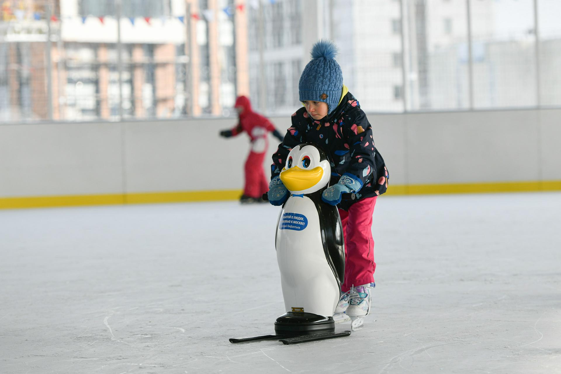 Интерактивную карту ледовых площадок создали в Подмосковье