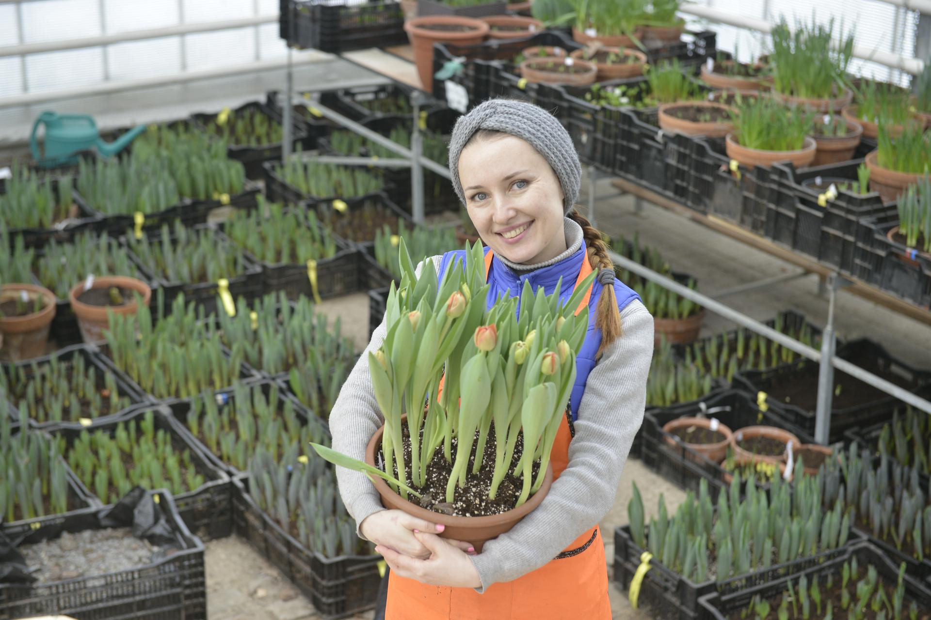 Расцветают лыко и кислица. В Международный день лесов наблюдаем за проснувшейся природой
