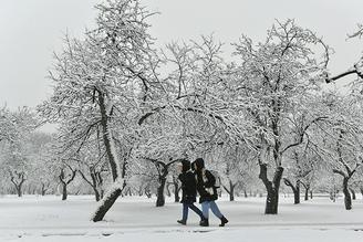Москвичей предупредили об ухудшении видимости из-за снегопада и тумана 25 февраля