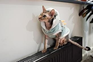 Столичные службы увеличат температуру в системе отопления из-за грядущих морозов