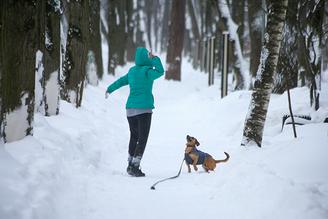 Власти Москвы рассказали о пользе снежной зимы для почвы