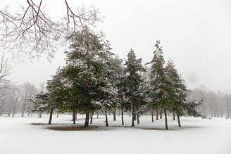 Знаете ли вы: необычное изобретение 