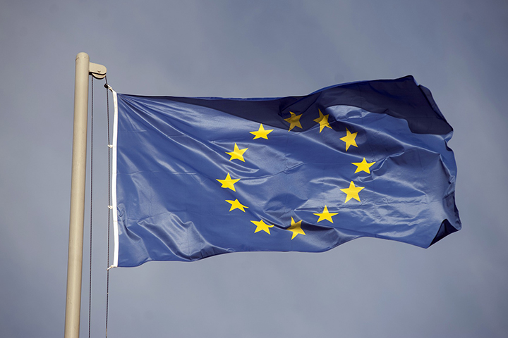 Европа приступила к экспертизе российской вакцины «Спутник V»