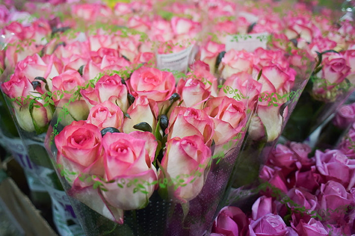 Евросоюз запретил экспортировать в Россию розы и бумагу