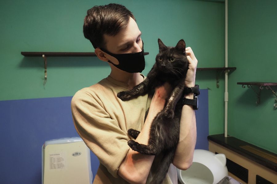 Всем кискам «мяу»: как работают московские котокафе