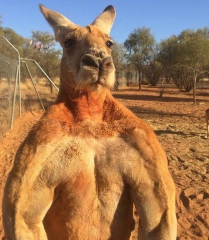 Так выглядел Роджер - папаша нынешнего супергероя - несколько лет назад