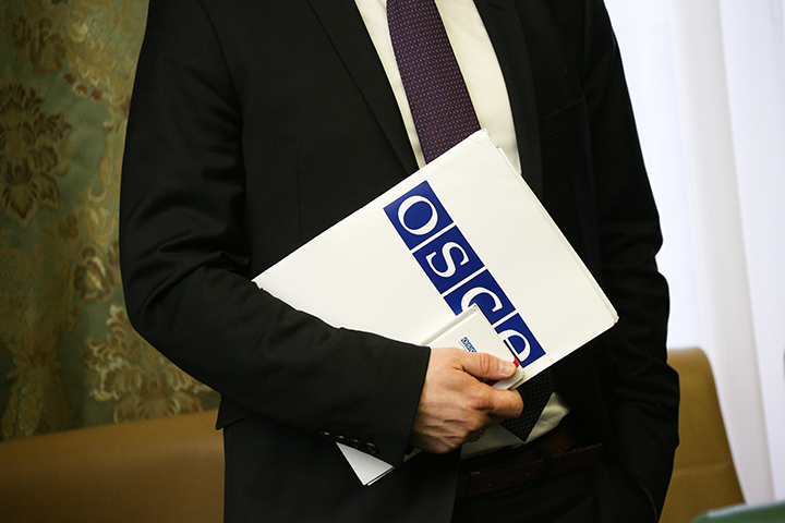 В ДНР назвали срок прекращения работы СММ ОБСЕ в республике